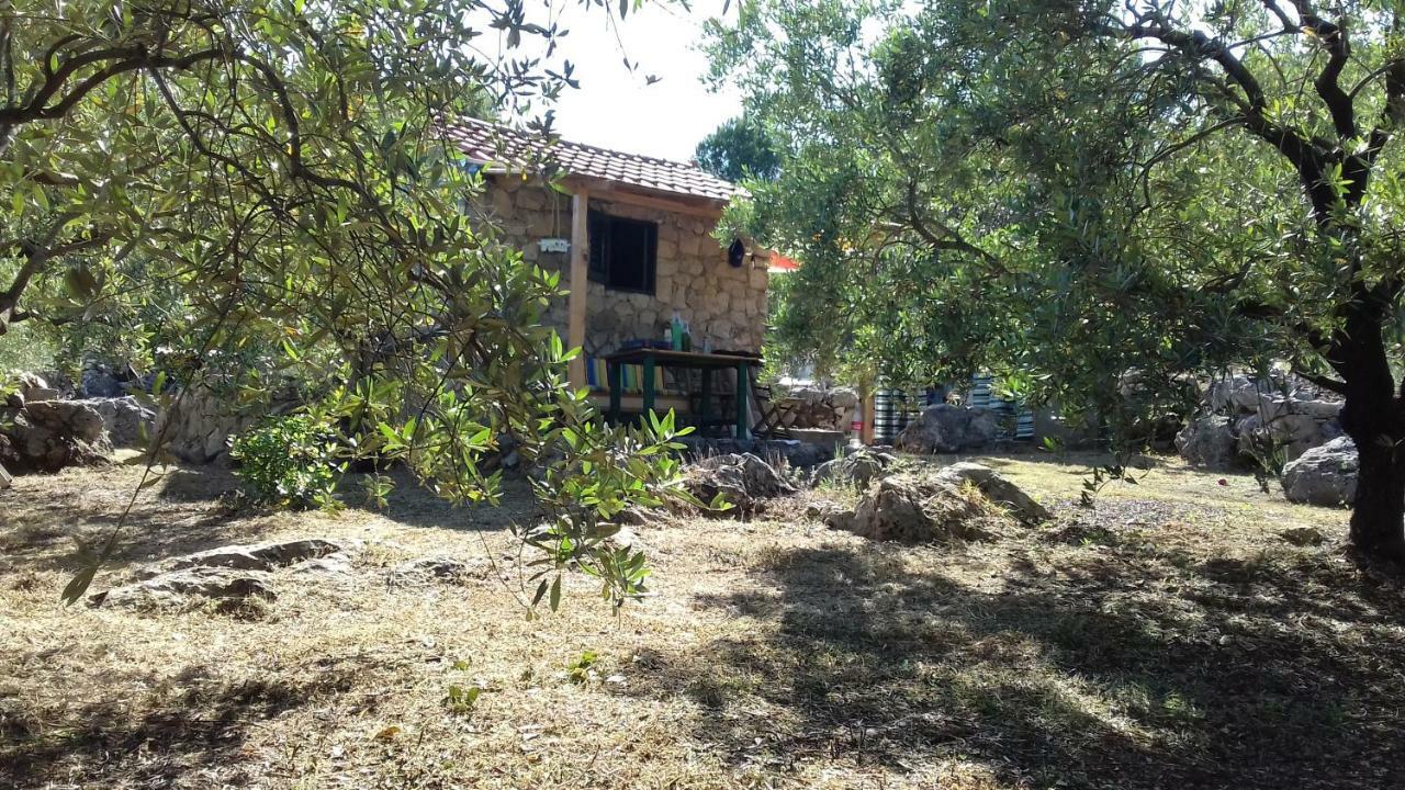 Robinson House Krunica * Pašman